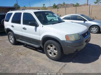  Salvage Ford Escape