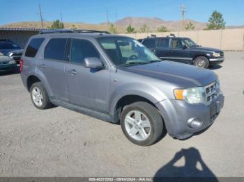  Salvage Ford Escape