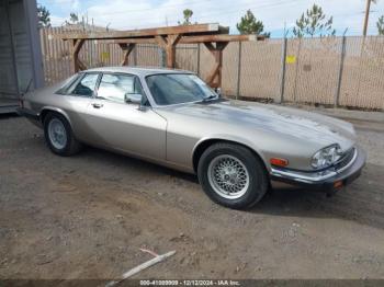  Salvage Jaguar Xjs