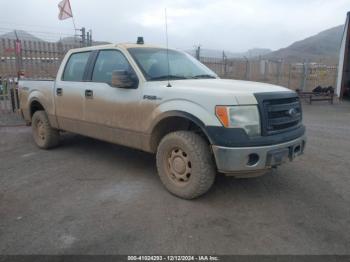  Salvage Ford F-150