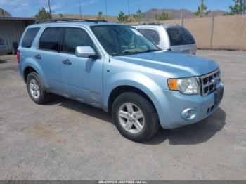  Salvage Ford Escape