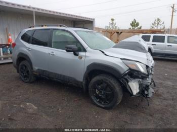 Salvage Subaru Forester