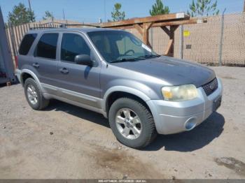  Salvage Ford Escape